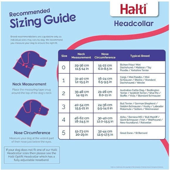 HALTI dog head collar - Picture 4 of 5